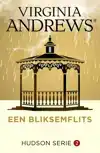 EEN BLIKSEMFLITS