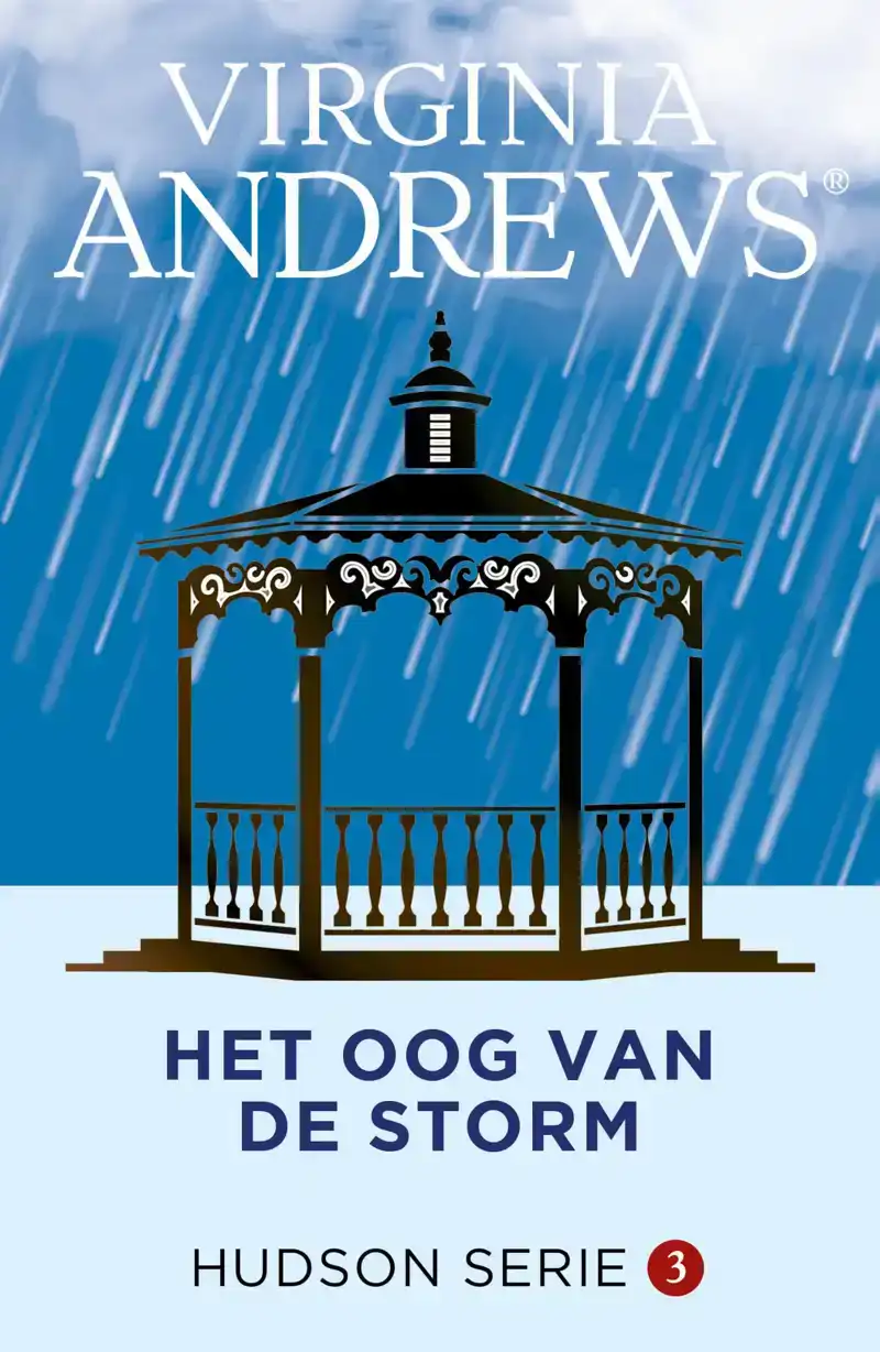 HET OOG VAN DE STORM