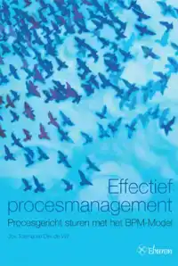 EFFECTIEF PROCESMANAGEMENT