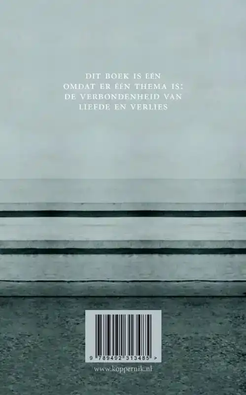 HET GROTE VAKANTIEPARK