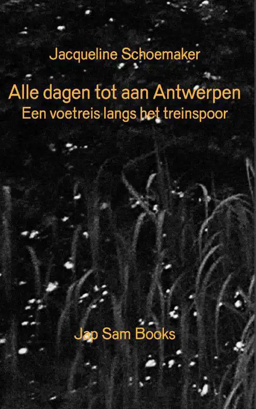 EVERY DAY UNTIL ANTWERP/ALLE DAGEN TOT AAN ANTWERPEN