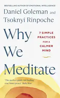 WHY WE MEDITATE