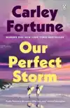 Our Perfect Storm