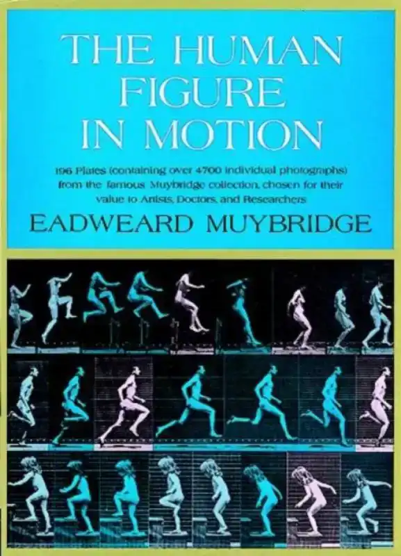 THE HUMAN FIGURE IN MOTION