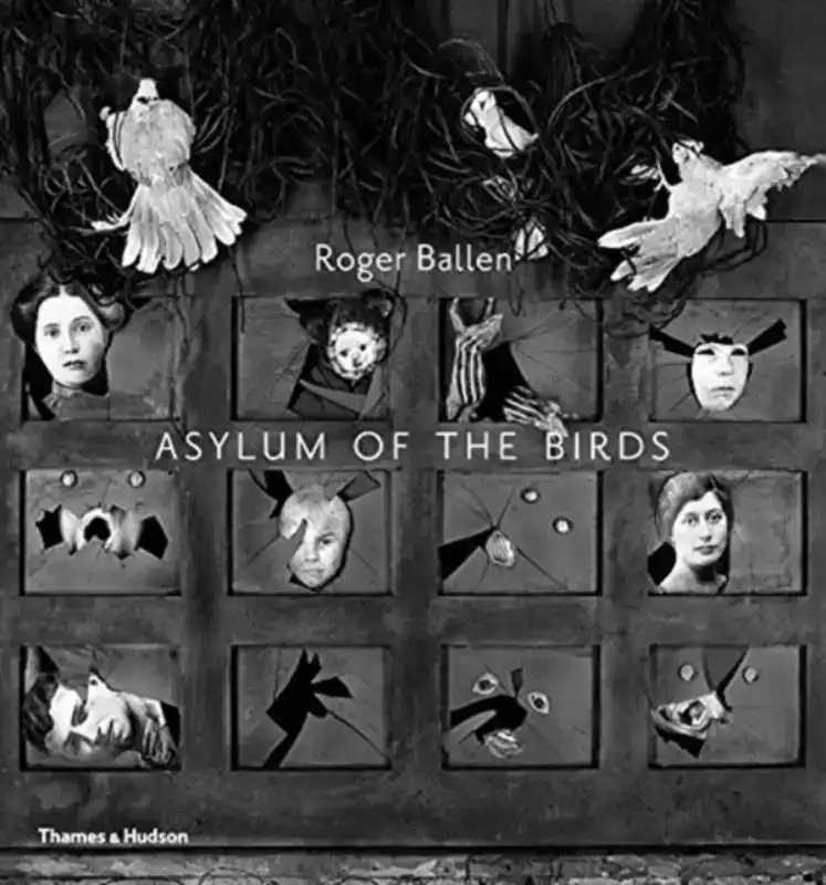 ASYLUM OF THE BIRDS