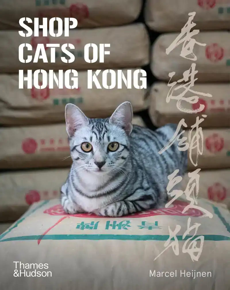 SHOP CATS OF HONG KONG