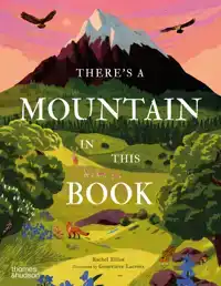 THERE'S A MOUNTAIN IN THIS BOOK