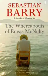 THE WHEREABOUTS OF ENEAS MCNULTY