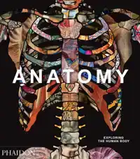 ANATOMY