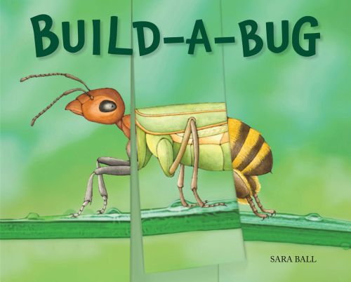 BUILD-A-BUG