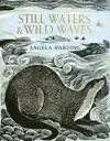 STILL WATERS & WILD WAVES