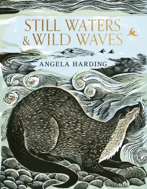 STILL WATERS & WILD WAVES