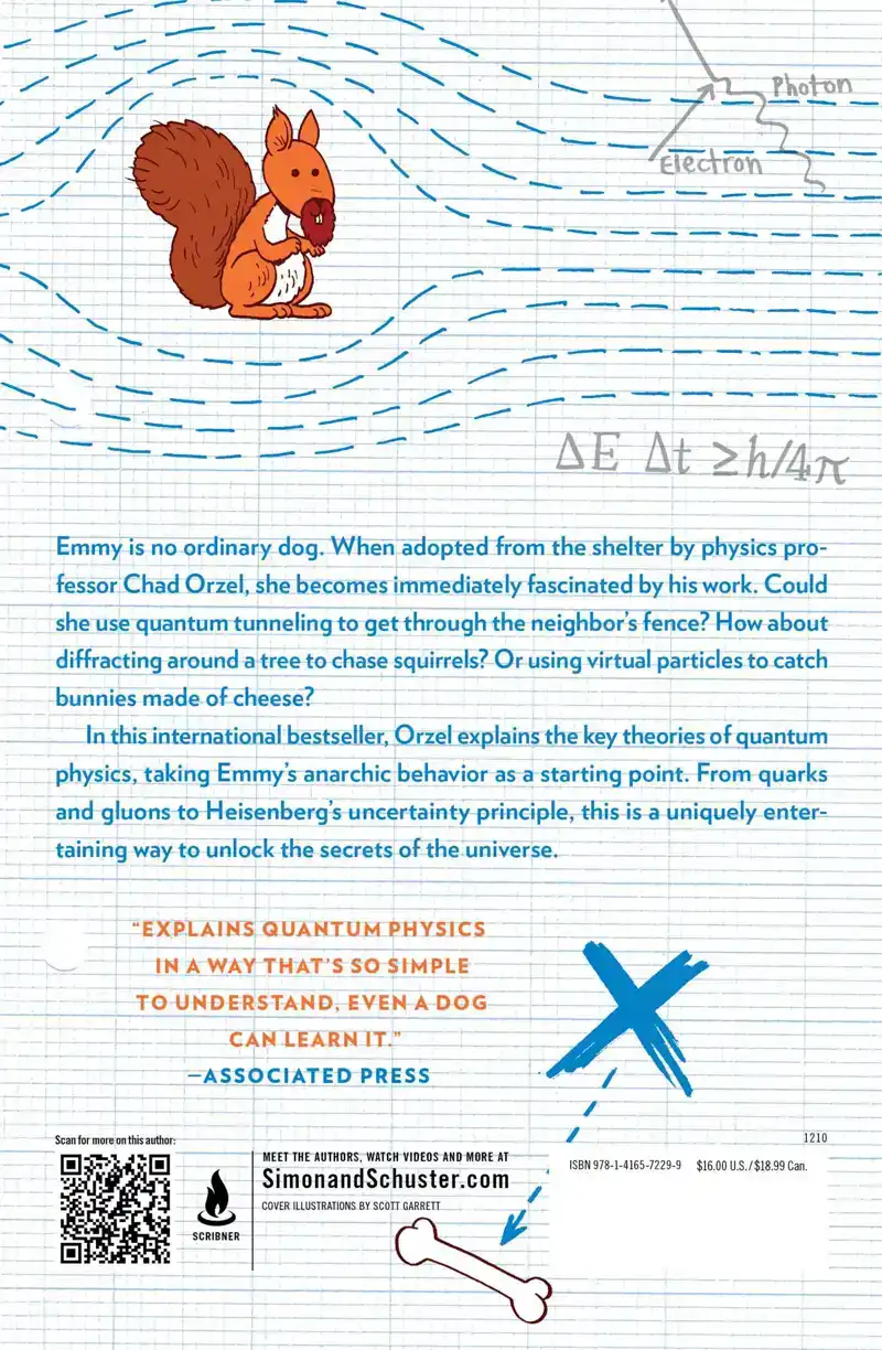 HOW TO TEACH QUANTUM PHYSICS TO YOUR DOG