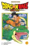DRAGON BALL SUPER, VOL. 1