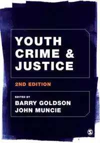 YOUTH CRIME AND JUSTICE