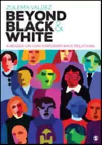 BEYOND BLACK AND WHITE: A READER ON CONTEMPORARY RACE RELATI