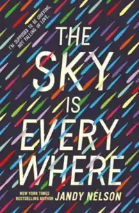 THE SKY IS EVERYWHERE