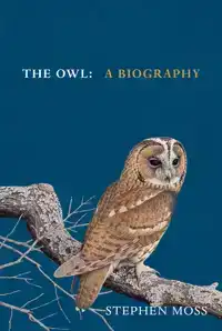 THE OWL