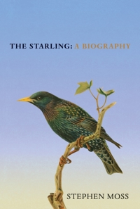THE STARLING