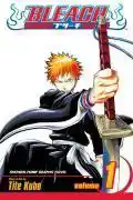 BLEACH, VOL. 1