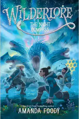 THE NIGHT COMPASS