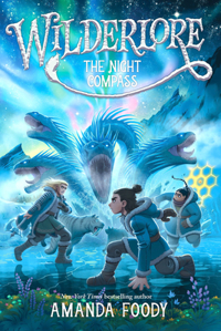 THE NIGHT COMPASS