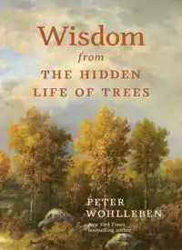 WISDOM FROM THE HIDDEN LIFE OF TREES