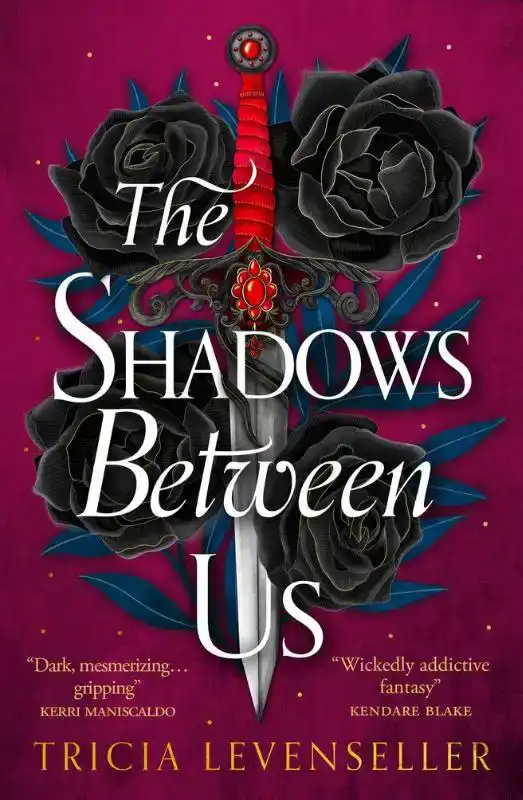 THE SHADOWS BETWEEN US