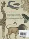 ANIMALIUM POSTCARDS