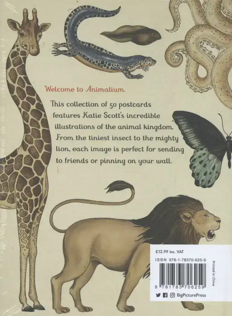 ANIMALIUM POSTCARDS