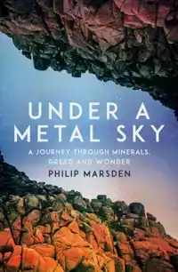 UNDER A METAL SKY