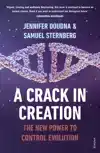 A CRACK IN CREATION