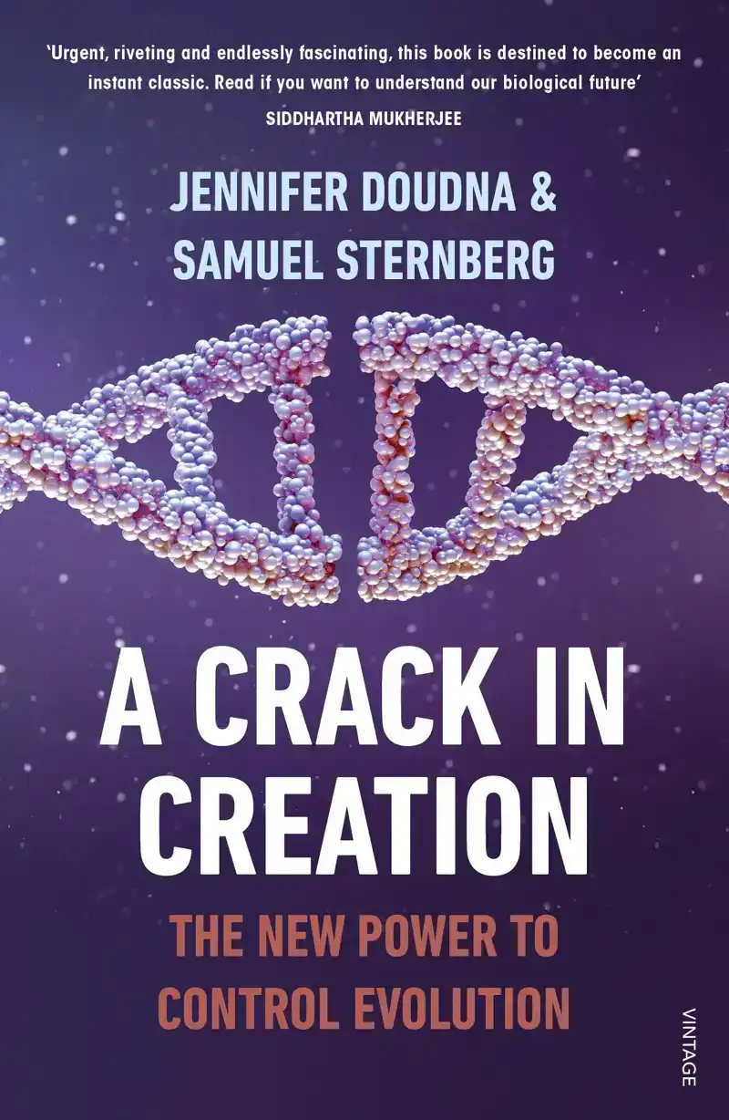 A CRACK IN CREATION