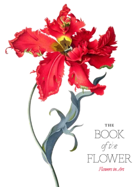 THE BOOK OF THE FLOWER