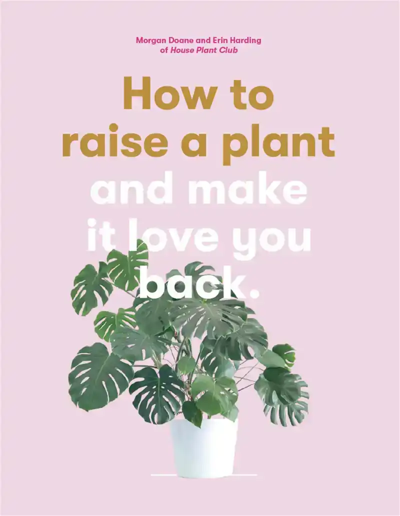 HOW TO RAISE A PLANT