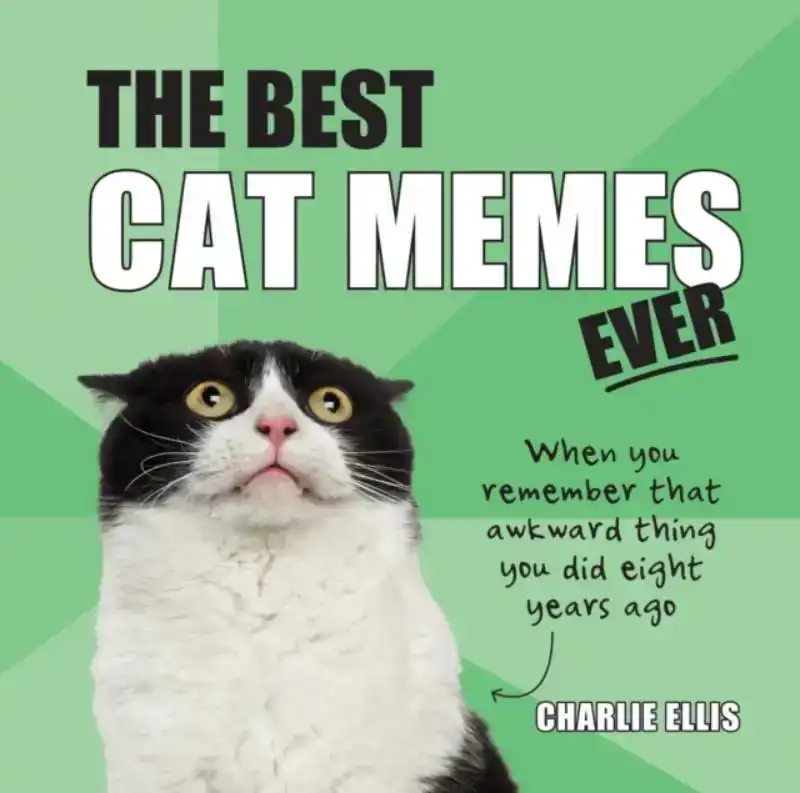 THE BEST CAT MEMES EVER