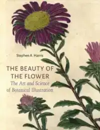 THE BEAUTY OF THE FLOWER