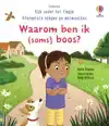 WAAROM BEN IK (SOMS) BOOS?