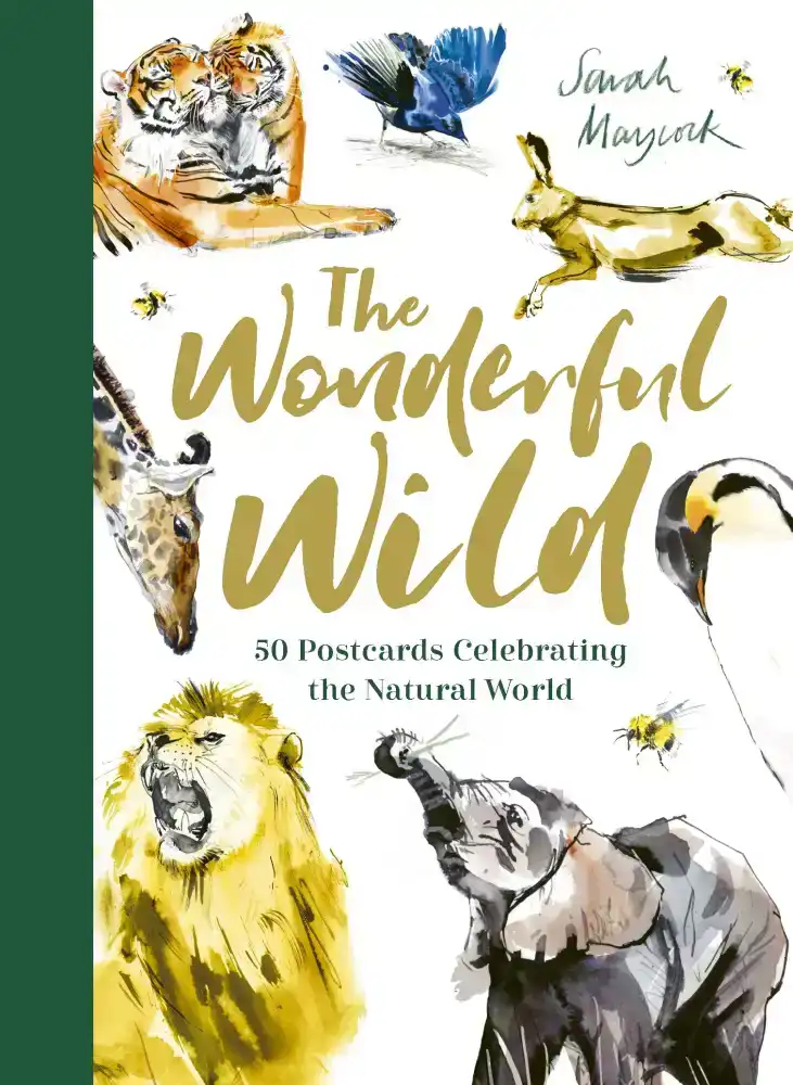 THE WONDERFUL WILD