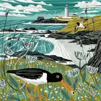 Sunny Spells and Scattered Showers