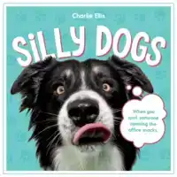 SILLY DOGS