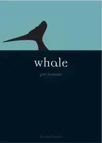 WHALE