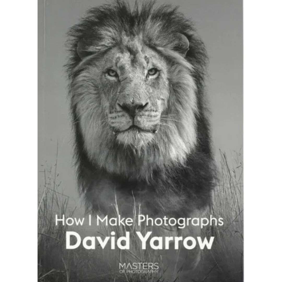 DAVID YARROW