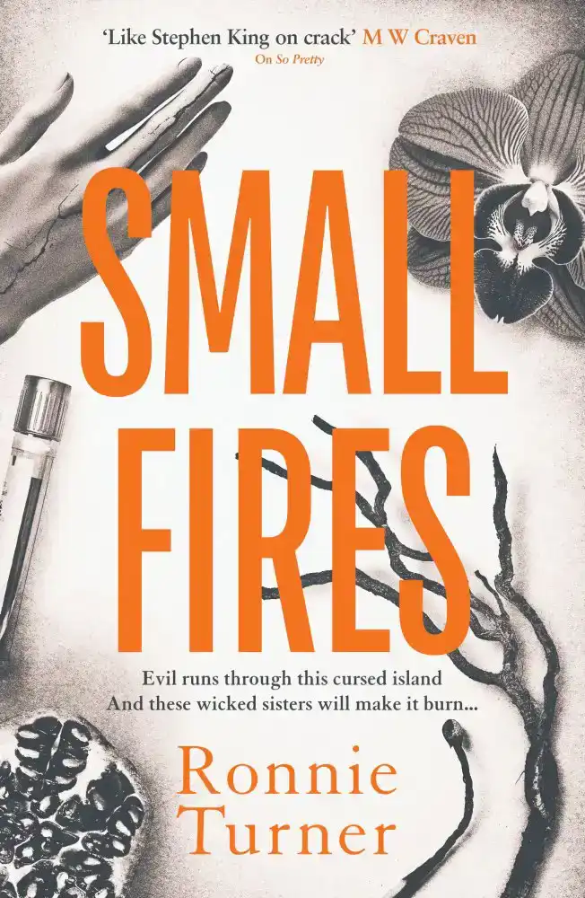 SMALL FIRES