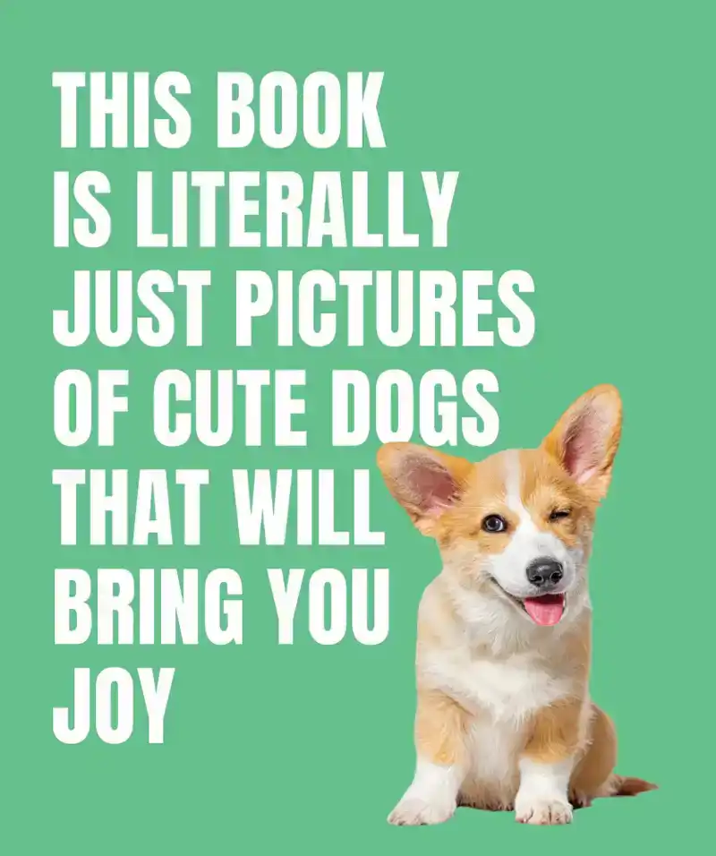 THIS BOOK IS LITERALLY JUST CUTE DOGS THAT WILL BRING YOU JO