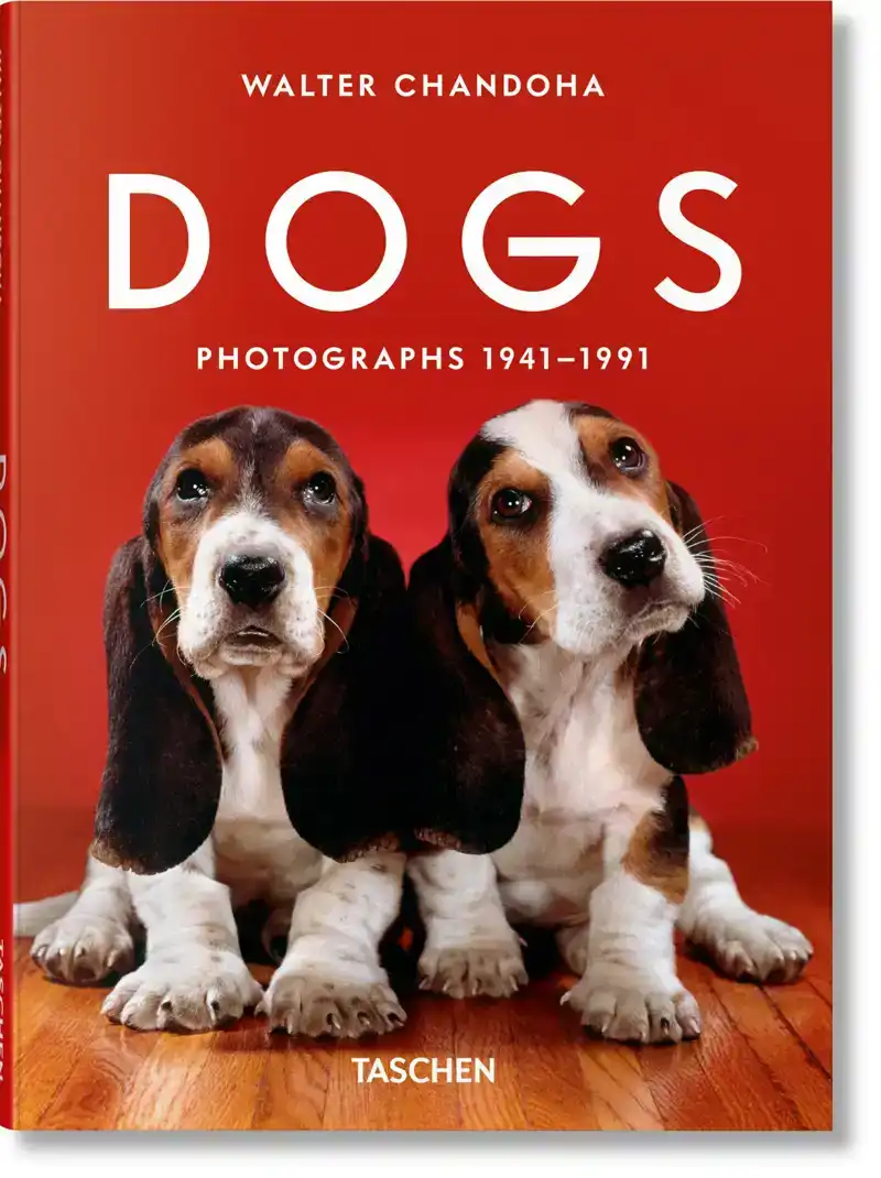 WALTER CHANDOHA. DOGS. PHOTOGRAPHS 1941-1991
