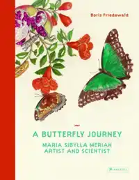 A BUTTERFLY JOURNEY