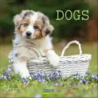 Dogs 2027