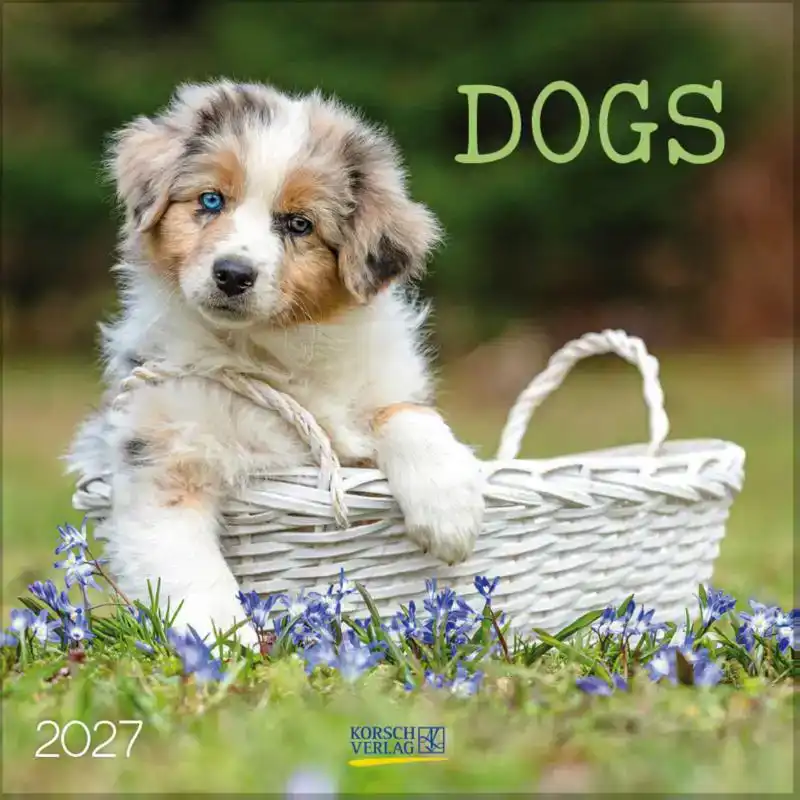 Dogs 2027