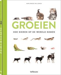 GROEIEN